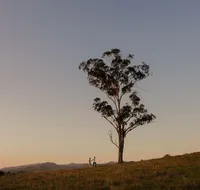 Faulls Ridge Winery - Accommodation in Brisbane