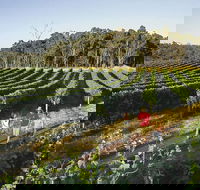 Margaret River Caves Wine and Cape Leeuwin Lighthouse Tour from Perth - Accommodation in Brisbane