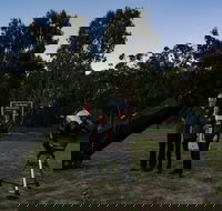 Stargazing Busselton with Mobile Observatory - Accommodation in Brisbane
