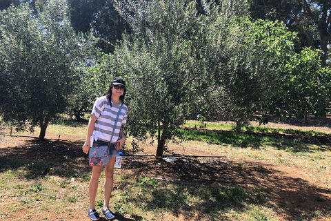 Full-Day Swan Valley, Wildlife Park, Winery & Fruit Orchard - Accommodation in Brisbane 7