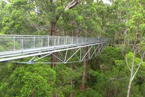 Albany Southwest Wilderness Day Tour - Fly From Perth - Accommodation in Brisbane 2