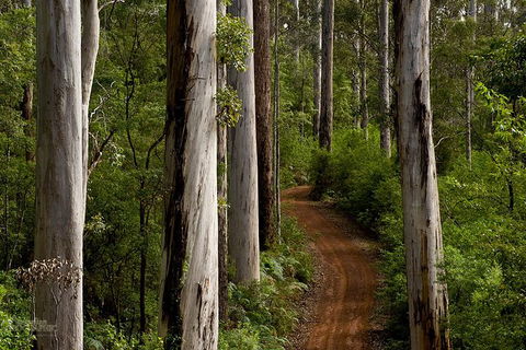 Albany Southwest Wilderness Day Tour - Fly From Perth - Accommodation in Brisbane 6