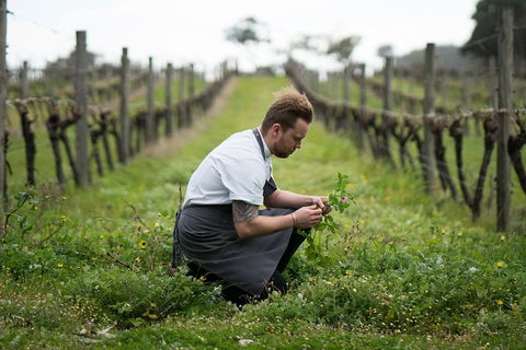 Vasse Felix Epicurean Tour And Tasting Experience With 5 Course Lunch - Accommodation in Brisbane 9