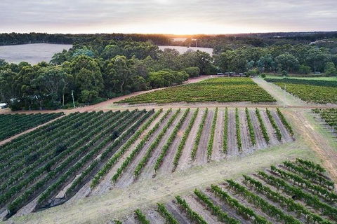 Vasse Felix Epicurean Tour And Tasting Experience With 5 Course Lunch - Accommodation in Brisbane 7