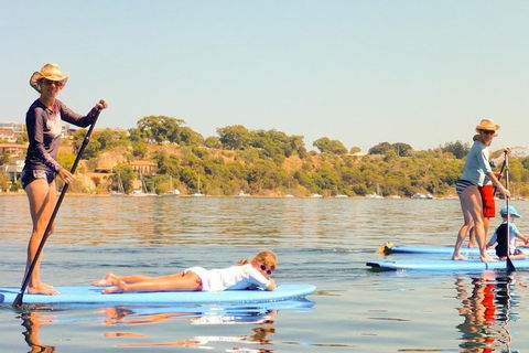 Stand-Up Paddleboarding Lesson Plus Guided Paddle On Perth's Swan River - Accommodation in Brisbane 0