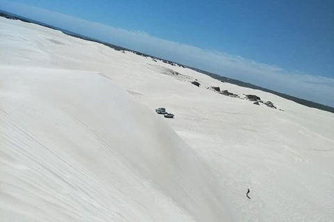 Yanchep & Lancelin - Wildlife, Cave And Sands - Accommodation in Brisbane 3