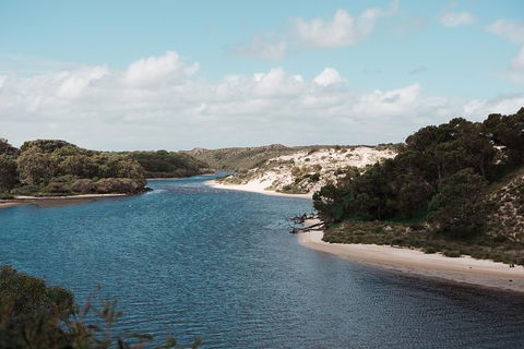 Yanchep & Lancelin - Wildlife, Cave And Sands - Accommodation in Brisbane 6