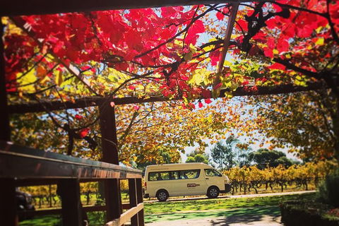 Ultimate Swan Valley Food And Wine Day Trip From Perth - Accommodation in Brisbane 12