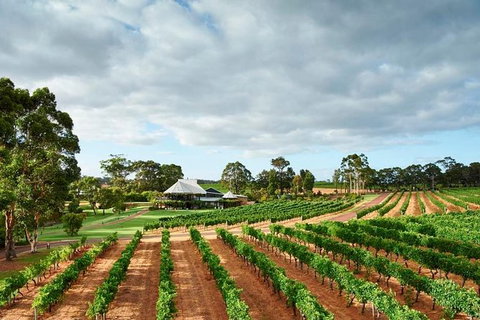 Vasse Felix Winery Tour And Tasting - Accommodation in Brisbane 2