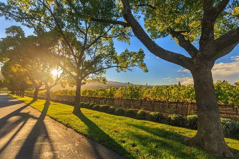 VIP Swan Valley Wine Tour - Premium Small Group Wine & Gourmet Experience - Accommodation in Brisbane 1