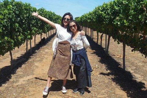VIP Swan Valley Wine Tour - Premium Small Group Wine & Gourmet Experience - Accommodation in Brisbane 3