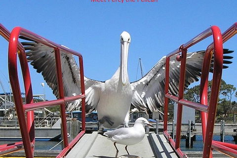 Kalgan Queen Scenic Cruises A Four Hour Sheltered Water Wildlife Tour Daily Fun. - Accommodation in Brisbane 1
