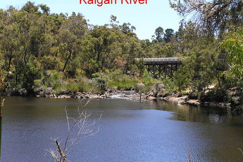 Kalgan Queen Scenic Cruises A Four Hour Sheltered Water Wildlife Tour Daily Fun. - Accommodation in Brisbane 3