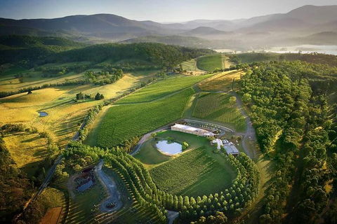 Yarra Valley - Wineries & Gin Distillery Tour - Accommodation in Brisbane 0