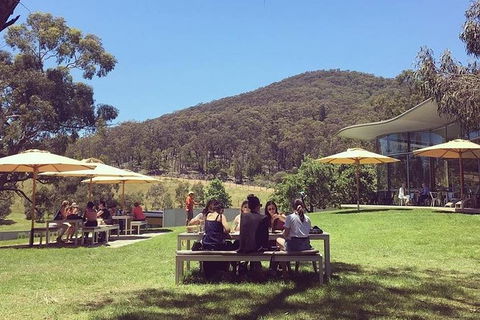 CHEVY CONVERTIBLE Package For 2 People- Wine Lunch Cheese & Chocolate From Melb. - Accommodation in Brisbane 6