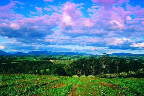 CHEVY CONVERTIBLE Package For 2 People- Wine Lunch Cheese & Chocolate From Melb. - Accommodation in Brisbane 7