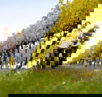 Overnight Daylesford and Macedon Ranges Gourmet Food Trail Tour from Melbourne - Accommodation in Brisbane