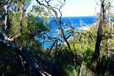 Surfcoast Walk & Exploration From Melbourne - Accommodation in Brisbane 1
