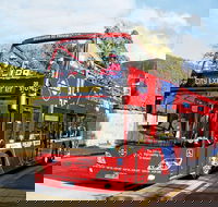 Hobart Hop-on Hop-off Bus Tour - Accommodation in Brisbane