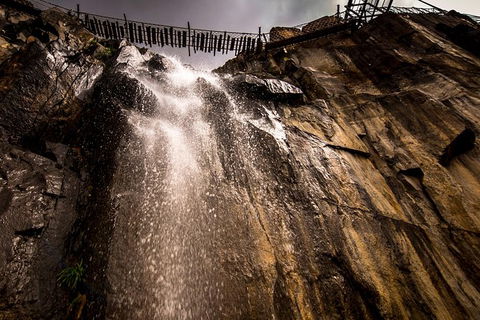 Adventure And Dining Package! - Accommodation in Brisbane 1