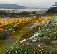 Mona and Wine Experience Tour - Accommodation in Brisbane