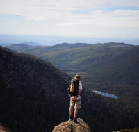 Mount Field National Park - Tarn Shelf  Russell Falls - Guided Hiking Tour - Accommodation in Brisbane