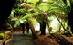 2-Day: Hiking Tour: Maria Island & Mount Field - thumb 4