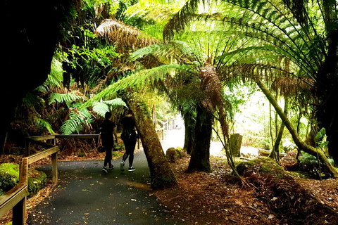 2-Day: Hiking Tour: Maria Island & Mount Field - Accommodation in Brisbane 4