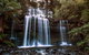 2-Day: Hiking Tour: Maria Island & Mount Field - thumb 10