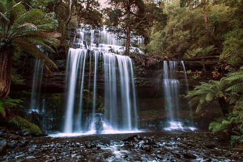 2-Day: Hiking Tour: Maria Island & Mount Field - Accommodation in Brisbane 10