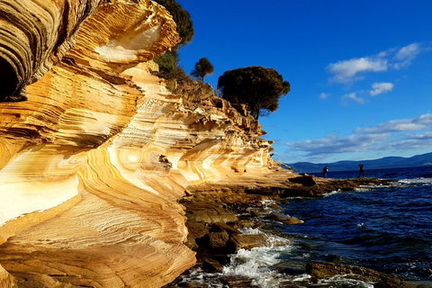 2-Day: Hiking Tour: Maria Island & Mount Field - Accommodation in Brisbane 7