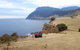 2-Day: Hiking Tour: Maria Island & Mount Field - thumb 9