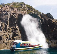 Full-Day Bruny Island Tour from Hobart - Accommodation in Brisbane
