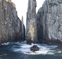 Day Trip to Tasman Peninsula and Port Arthur Historic Site from Hobart - Accommodation in Brisbane