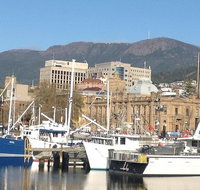 Private Mt Wellington Richmond Bonorong Wildlife Sanctuary Tour from Hobart - Accommodation in Brisbane