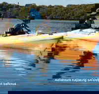 Adelaide Dolphin Sanctuary and Ships Graveyard Kayak Tour - Accommodation in Brisbane