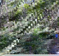 Self-Guided Waterfall Gully to Mount Lofty Hike from Adelaide - Accommodation in Brisbane