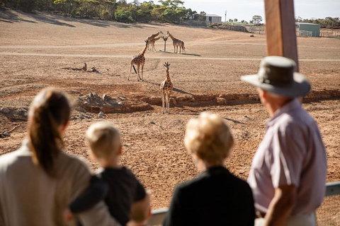 Monarto Safari Park General Admission Ticket - Accommodation in Brisbane 0