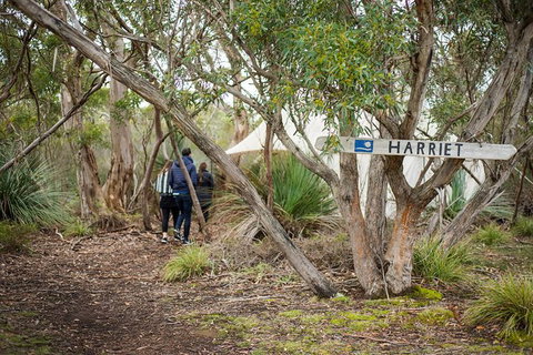 2-Day Kangaroo Island 4WD Small-Group Tour From Adelaide - Accommodation in Brisbane 3