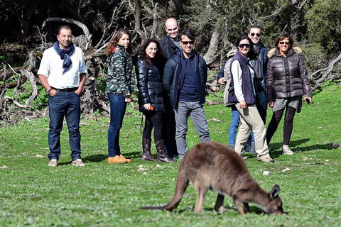 2-Day Kangaroo Island 4WD Small-Group Tour From Adelaide - Accommodation in Brisbane 8