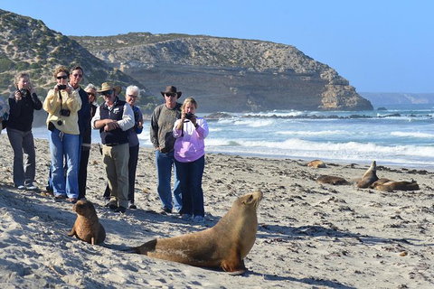 2-Day Kangaroo Island 4WD Small-Group Tour From Adelaide - Accommodation in Brisbane 5
