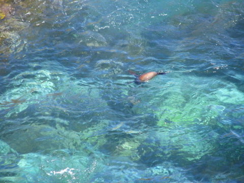 2-Day Kangaroo Island Adventure Tour From Adelaide - Accommodation in Brisbane 9