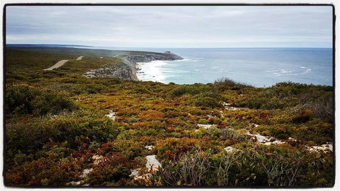 2-Day Kangaroo Island Adventure Tour From Adelaide - Accommodation in Brisbane 4