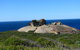 2-Day Kangaroo Island Adventure Tour From Adelaide - thumb 8