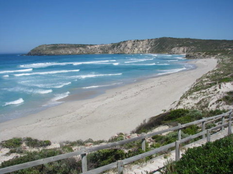 2-Day Kangaroo Island Adventure Tour From Adelaide - Accommodation in Brisbane 11