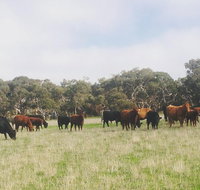 Waitpinga Farm Quad-Bike Tour - Accommodation in Brisbane