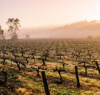 Barossa Valley Private Tour It's your tour the way you want it. - Accommodation in Brisbane