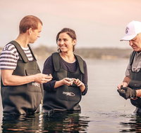 3-Day Port Lincoln and Coffin Bay Private Tour from Adelaide - Accommodation in Brisbane