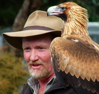 Kangaroo Island Wildlife Day Trip from Adelaide Including Seal Bay - Accommodation in Brisbane