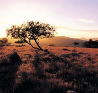 Adelaide To Coober Pedy 7 DAY SMALL GROUP 4WD SAFARI - Accommodation in Brisbane